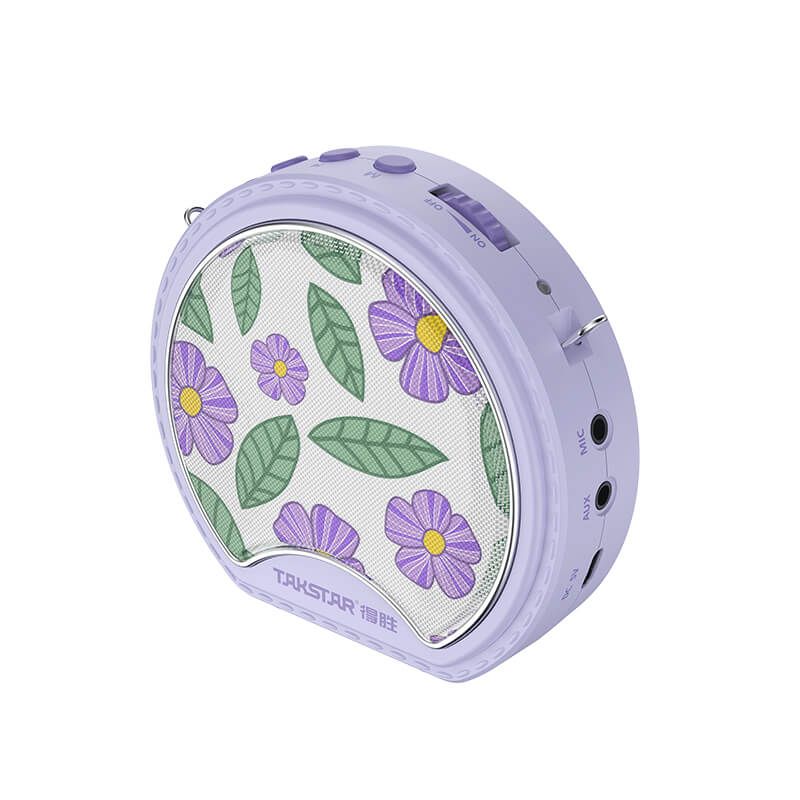 Máy Trợ Giảng Takstar E20 Chính Hãng - Hình 2
