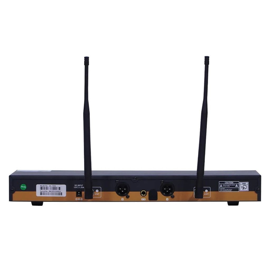 Micro Không Dây Baiervires BS-790s Chính Hãng - Hình 2