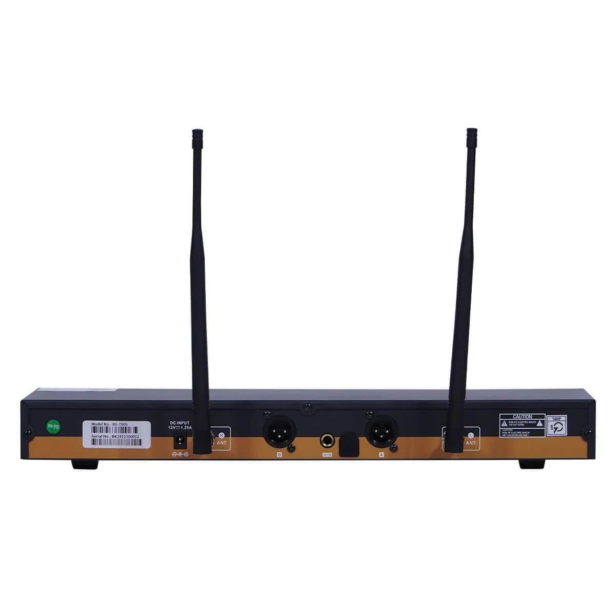 Micro Không Dây Baiervires BS-790s Chính Hãng - Hình 2