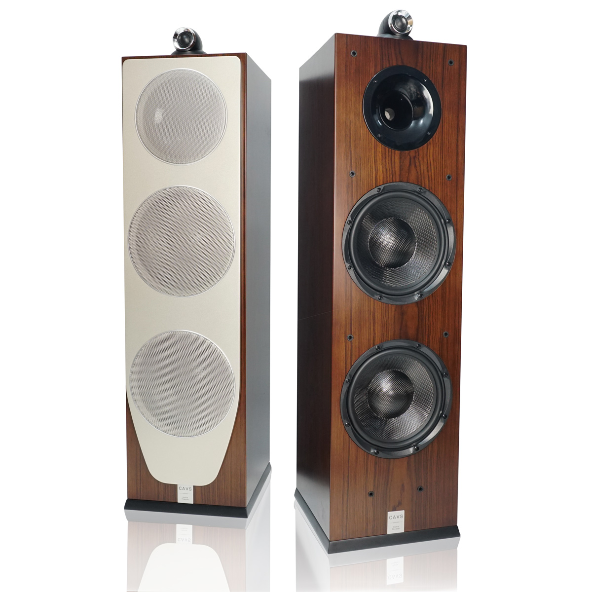Loa CAVS TL210 Chính Hãng - Hình 5