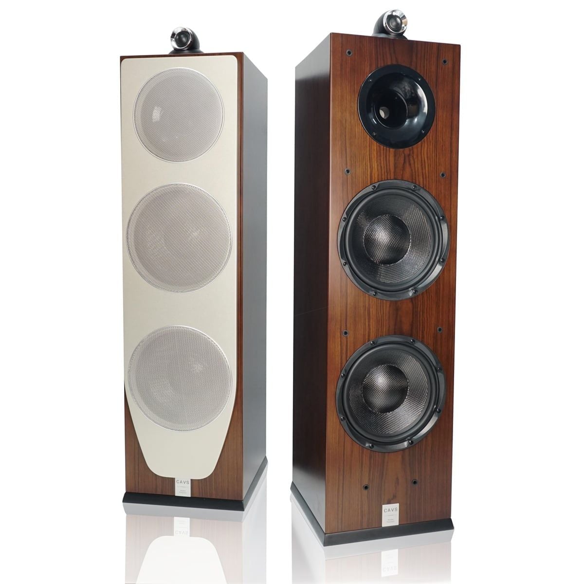 Loa CAVS TL210 Chính Hãng - Hình 5