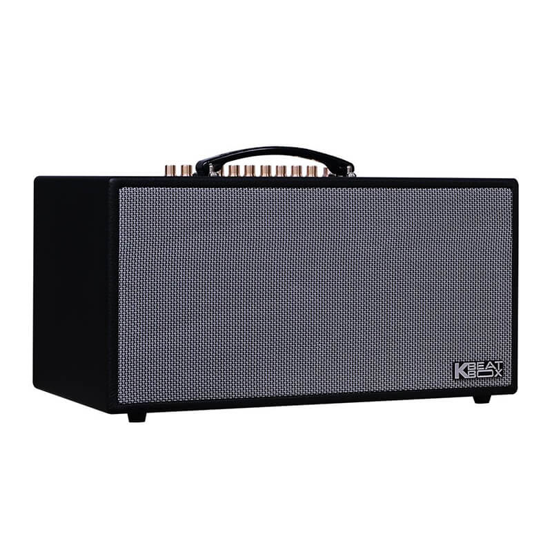 Loa karaoke di động Acnos CS450SRV chính hãng - Hình 1