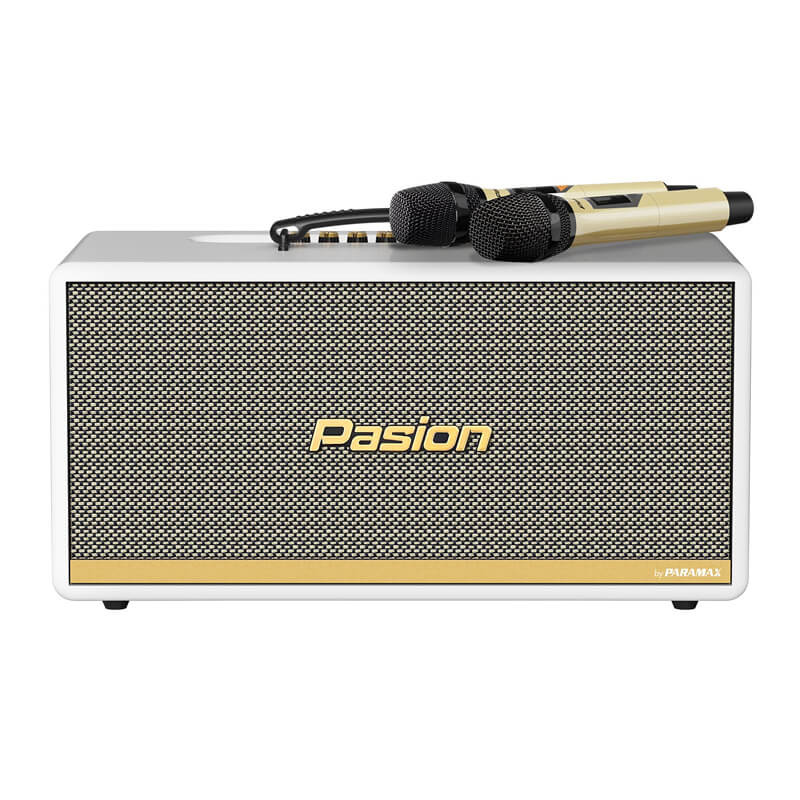 Loa karaoke di động Paramax Pasion 2C chính hãng - Hình 6