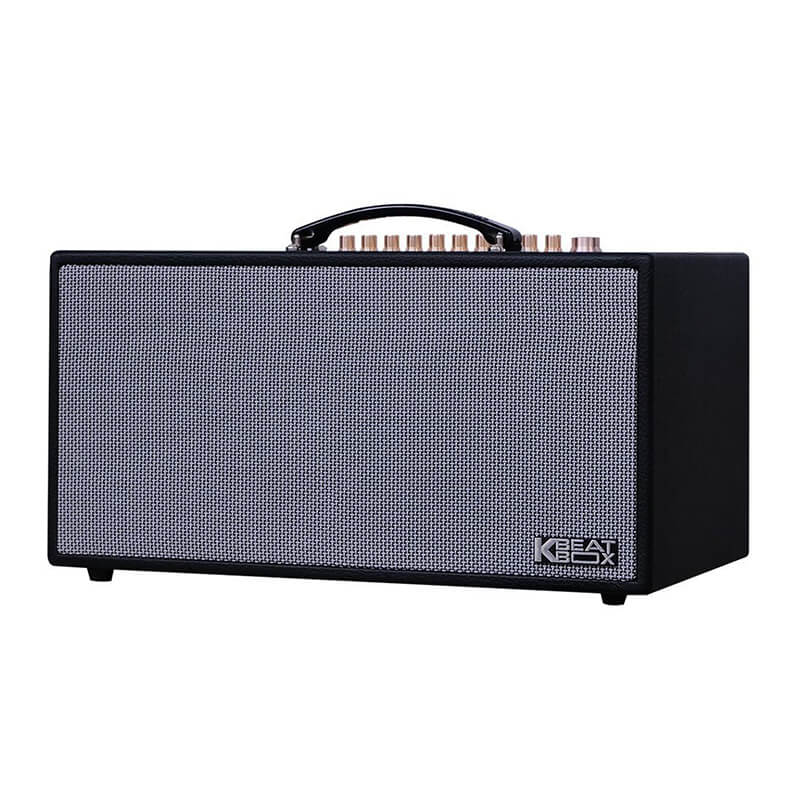 Loa karaoke di động Acnos CS450SRV chính hãng - Hình 2