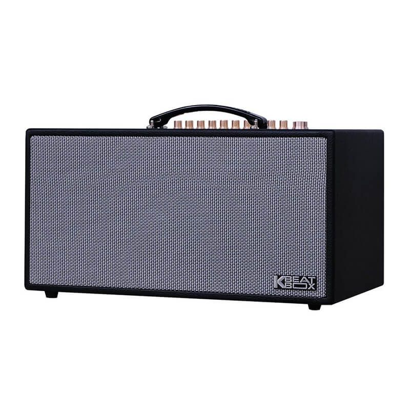 Loa karaoke di động Acnos CS450SRV chính hãng - Hình 2