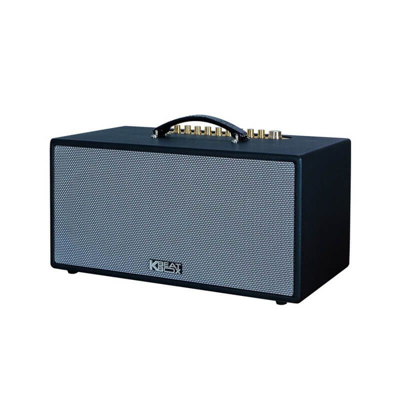 Loa karaoke di động Acnos CS445D chính hãng - Hình 5
