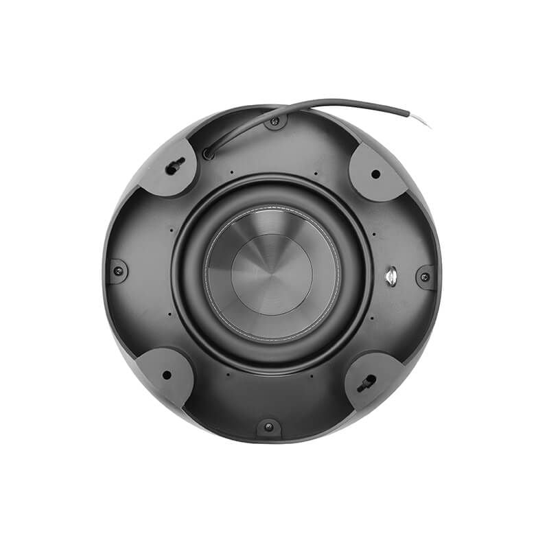 Loa subwoofer Alpha Works AW10-FS chính hãng - Hình 2
