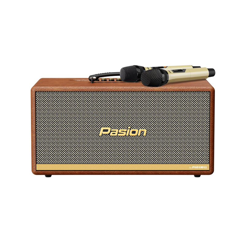 Loa karaoke di động Paramax Pasion 2 chính hãng - Hình 1