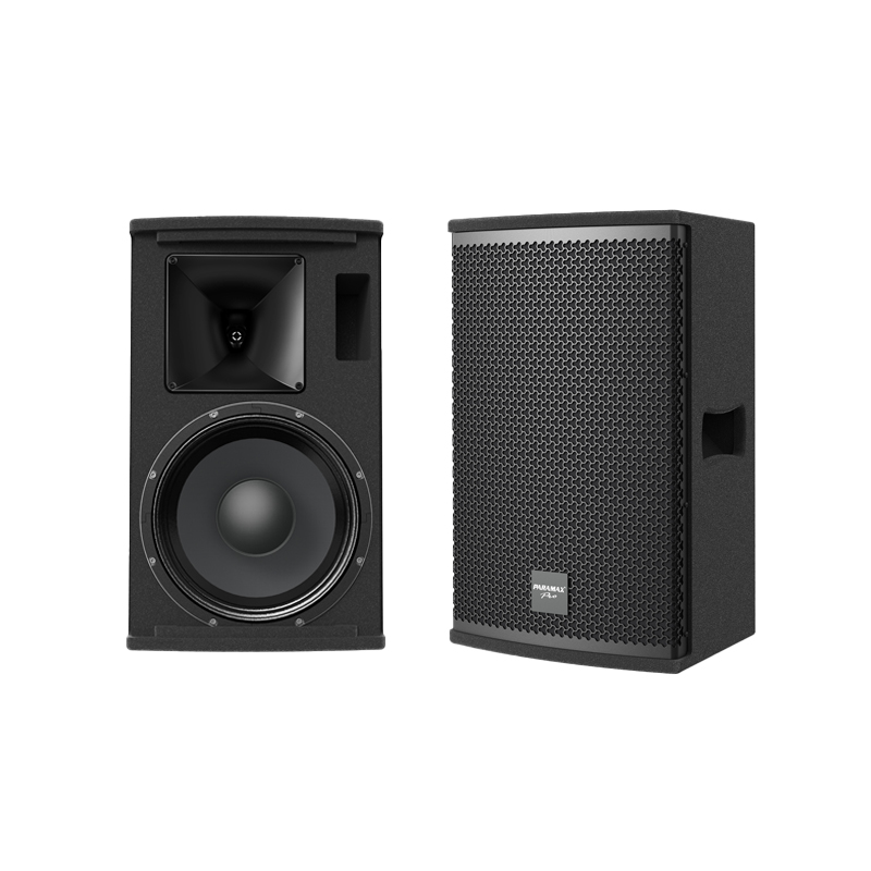 Loa karaoke Paramax Pro S12 chính hãng - Hình 1