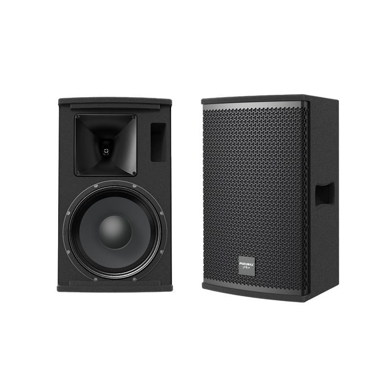 Loa karaoke Paramax Pro S12 chính hãng - Hình 1