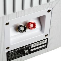 Loa Polk Signature Elite ES15 chính hãng - Thumb 6