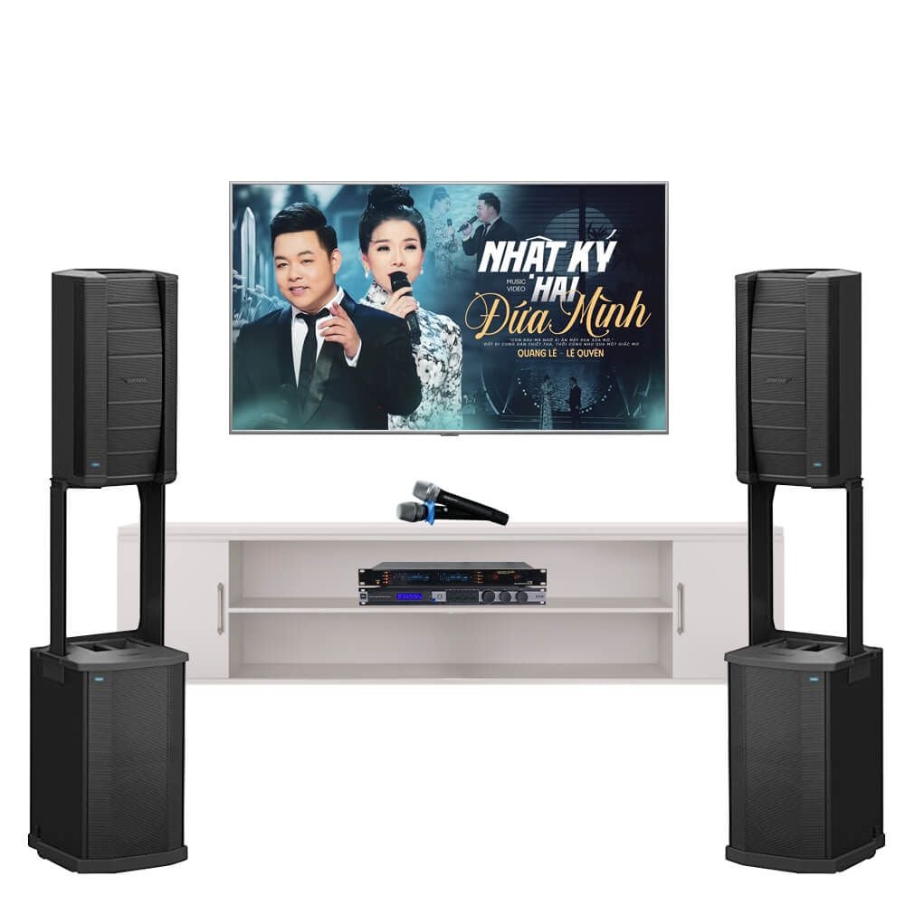 Dàn Karaoke Cao Cấp Bose F1 812 TVA 0322024 - Hình 1