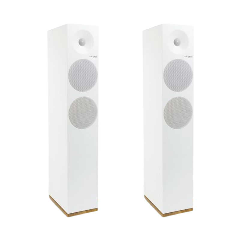 Loa Tangent Spectrum X6BT chính hãng - Hình 2