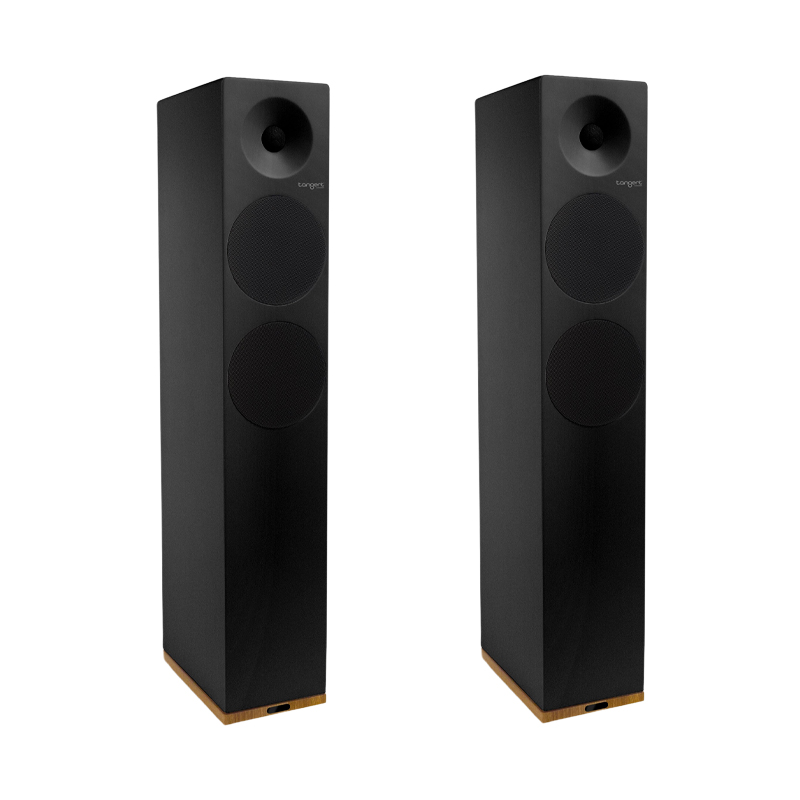 Loa Tangent Spectrum X6BT chính hãng - Hình 1