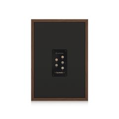 Loa nghe nhạc Tannoy EATON chính hãng - Thumb 3