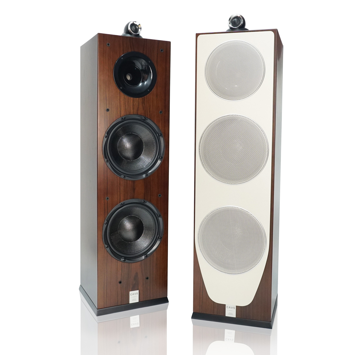 Loa CAVS TL210 Chính Hãng - Hình 4