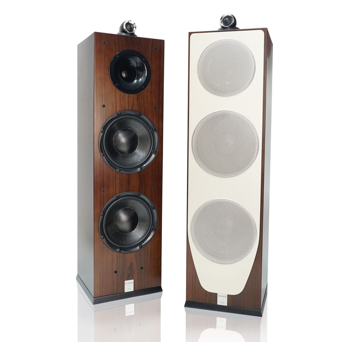 Loa CAVS TL210 Chính Hãng - Hình 4