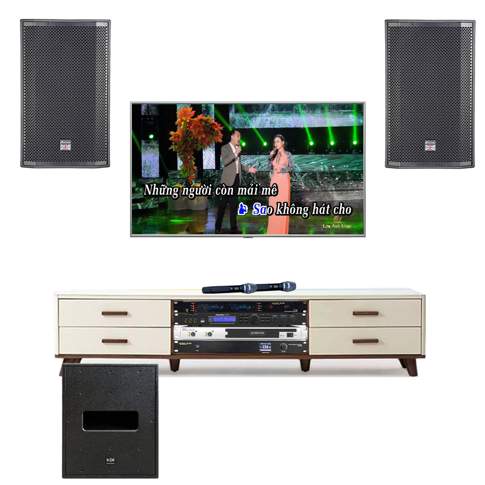 Bộ Dàn Karaoke Gia Đình TVA 032022 - Hình 1