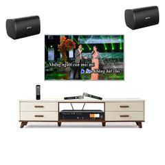 Bộ Dàn Karaoke Gia Đình Bose TVA 242022 (Bose DesignMax DM6S + Boston Acoustic BA400) - Thumb 1