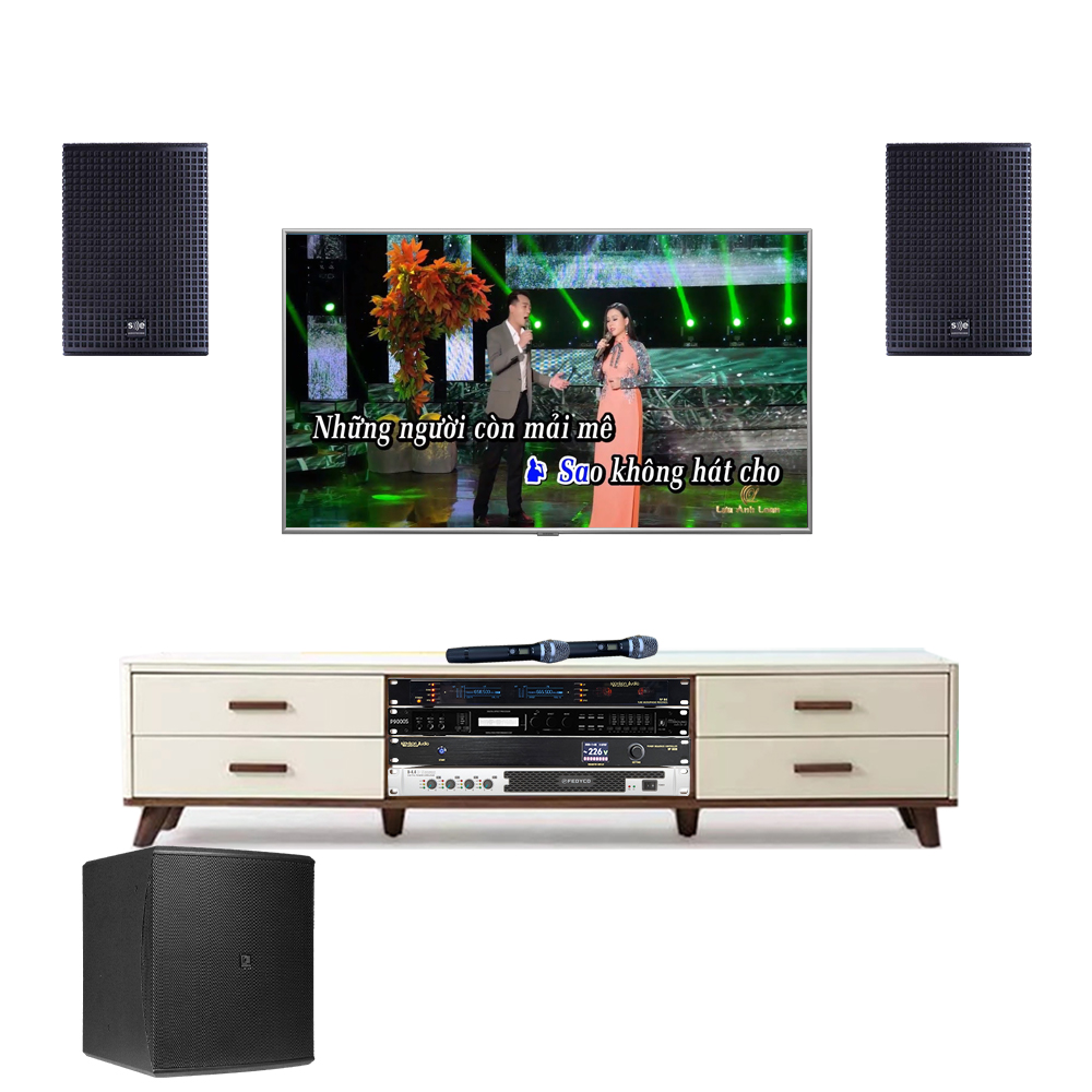 Bộ Dàn Karaoke Gia Đình TVA 342022 (SE Audiotechnik Cox 8 + Audac Baso10 + Fedyco D4.4 + Paramax MX220 + Navison N.608 + Navison Audio No.86) - Hình 1
