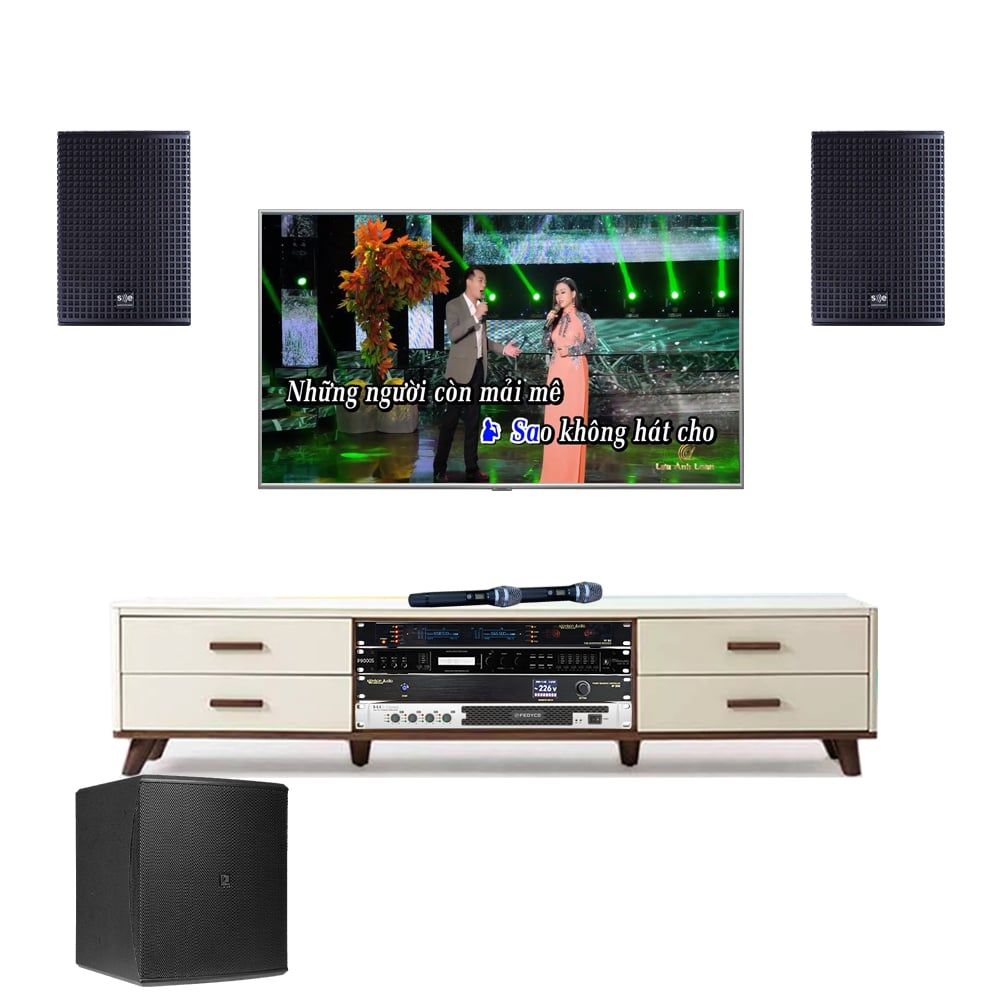 Bộ Dàn Karaoke Gia Đình TVA 342022 (SE Audiotechnik Cox 8 + Audac Baso10 + Fedyco D4.4 + Paramax MX220 + Navison N.608 + Navison Audio No.86) - Hình 1