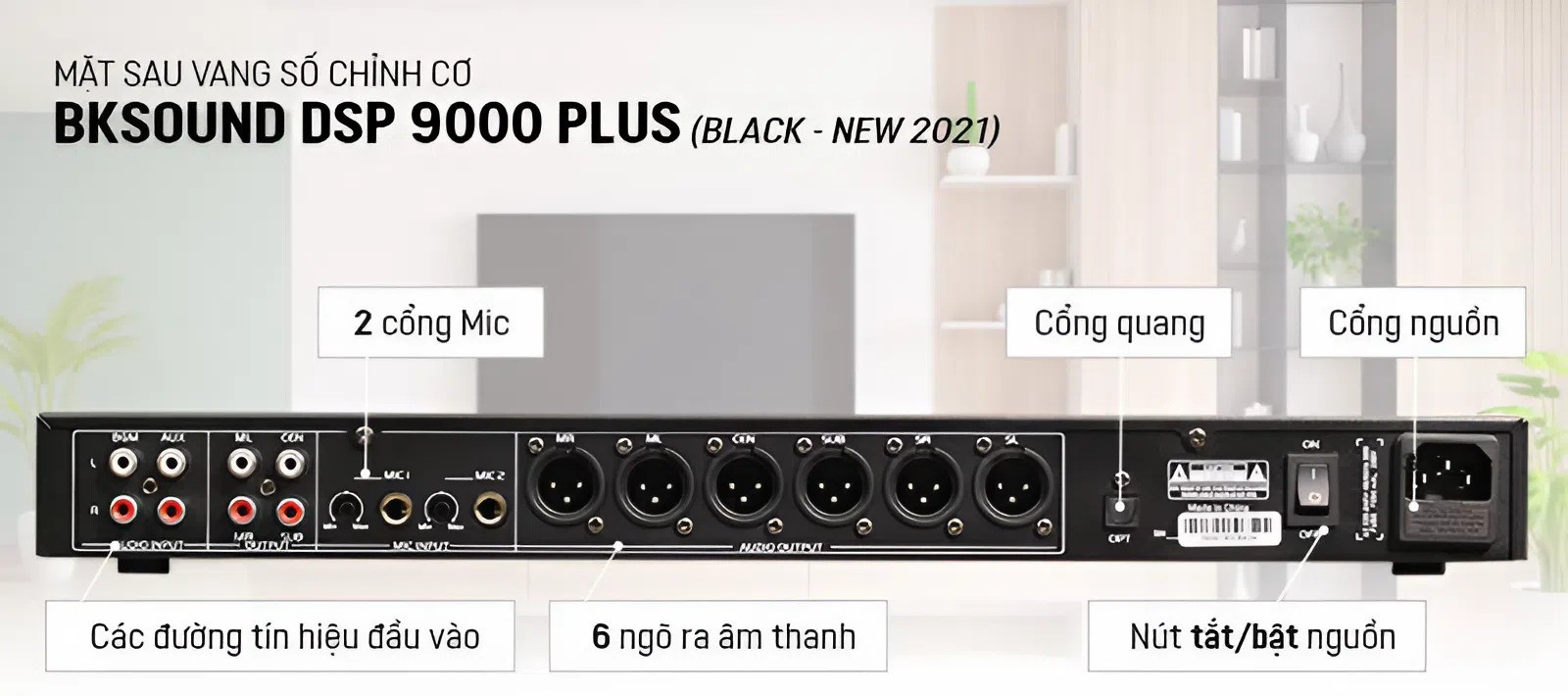 Vang Số BKSound DSP 9000 Plus Chính Hãng - Hình 7
