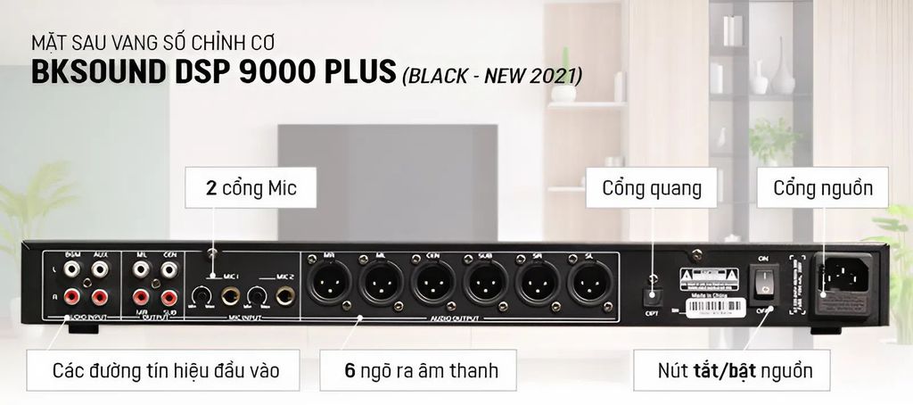 Vang Số BKSound DSP 9000 Plus Chính Hãng - Hình 7