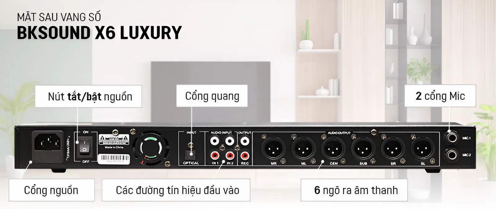 Vang Số BKSound X6 Luxury Chính Hãng - Hình 3