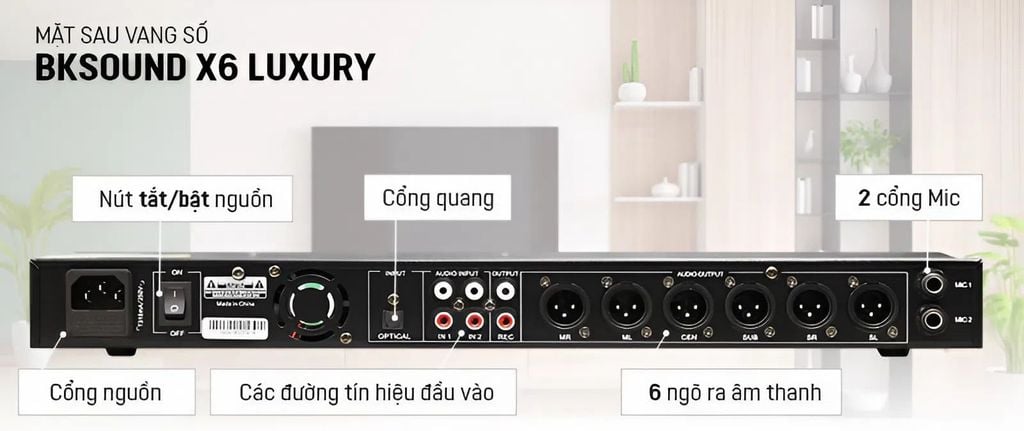 Vang Số BKSound X6 Luxury Chính Hãng - Hình 3