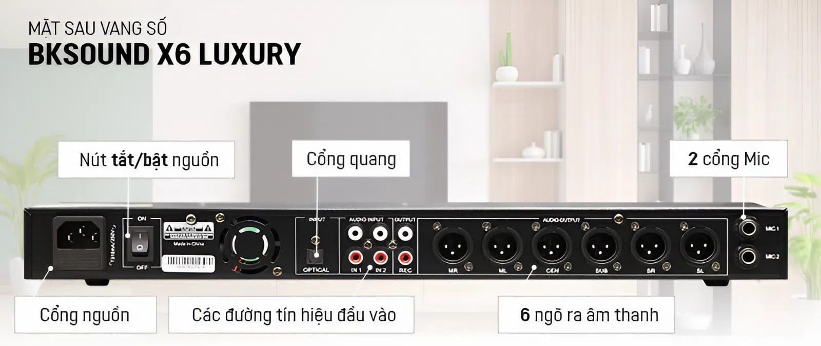 Vang Số BKSound X6 Luxury Chính Hãng - Hình 3