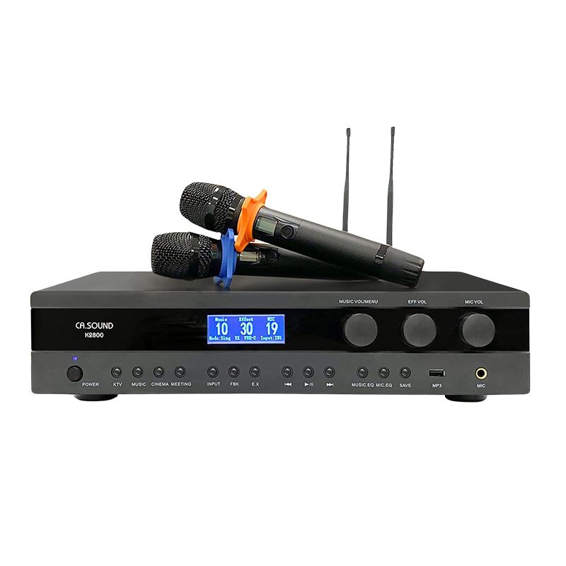 Vang số CASound K2800 chính hãng - Hình 1