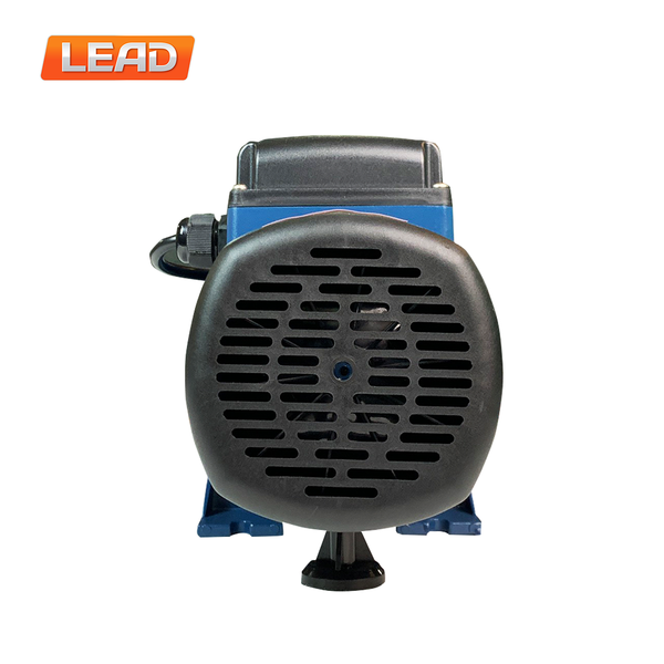 MÁY BƠM NƯỚC LEAD MJS/100 (750W)