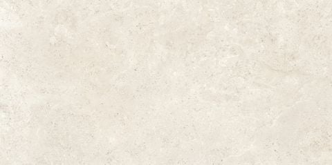 TP48604