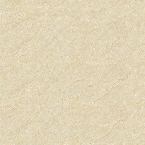 TP6008 - TP8008