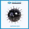 Quả đinh DC45