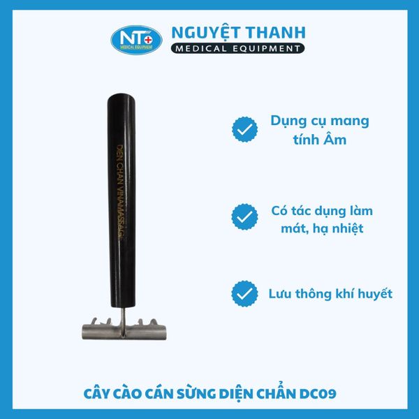 Cào lớn DC09