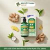 Dầu Gội Gừng BioHealth Giảm Rụng Tóc, Kích Thích Mọc Tóc Chính Hãng