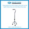 Gậy 4 Chân Cao Inox Bayoka G4