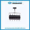 Gai đơn trụ lớn DC03