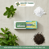 Kem Đánh Răng Hữu Cơ BioHealth Trà Bạc Hà Giảm Ê Buốt