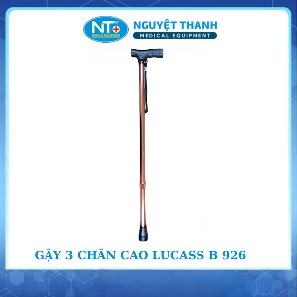 Gậy Thẳng MS-920L