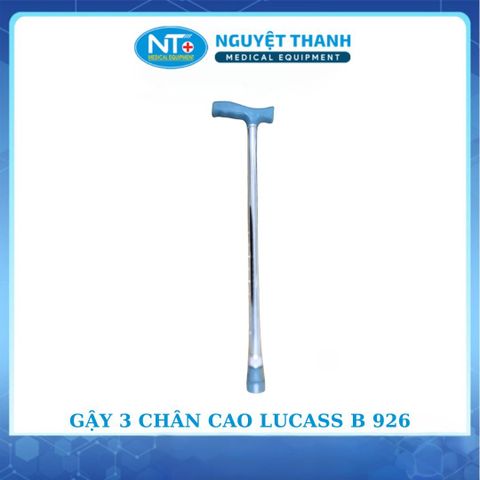 Gậy Thẳng MS-920L