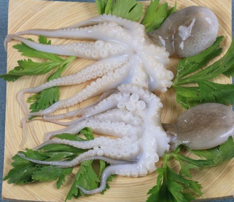 BB Octopus Whole Clean