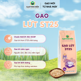  Gạo lứt ST25 