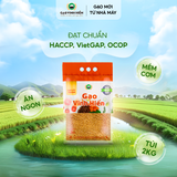  Gạo lứt VietGAP 