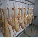  Thịt tươi gà ta Gò Công 