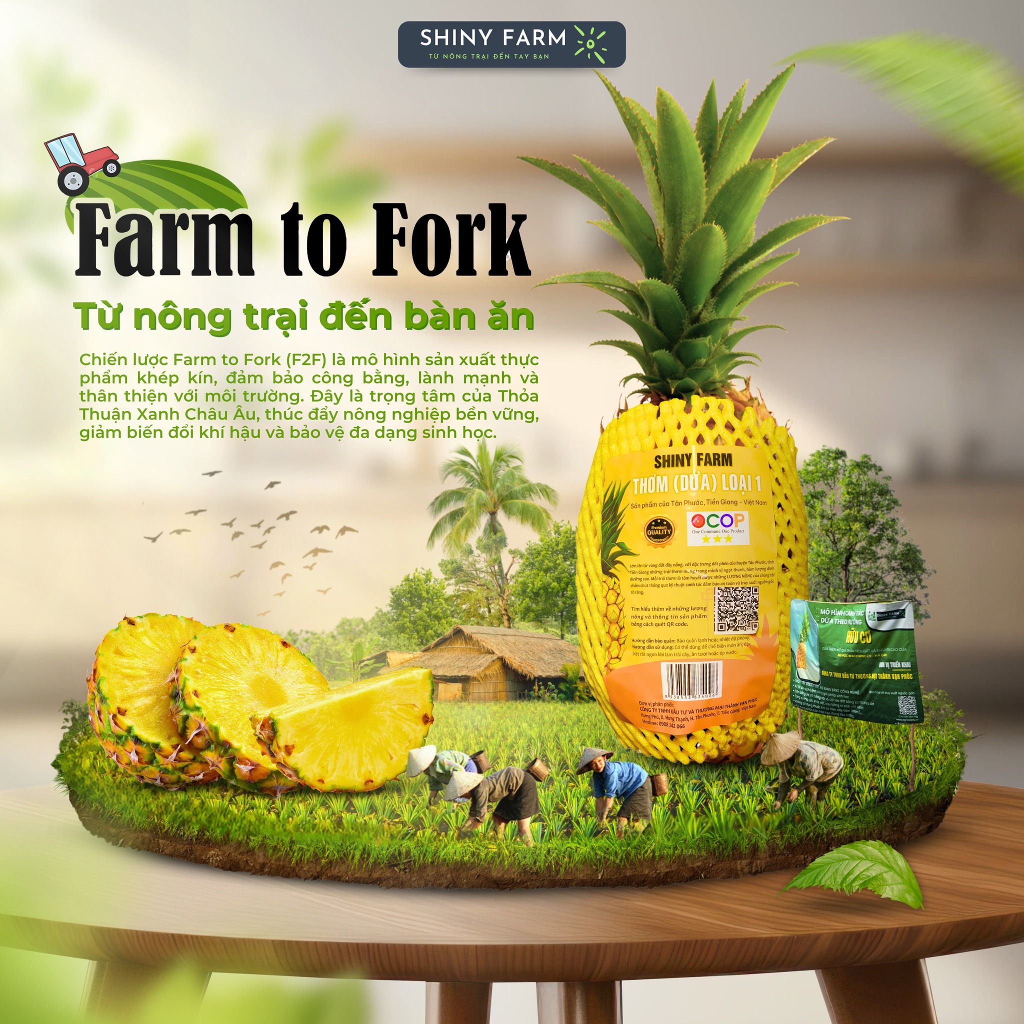  Thơm (Dứa) Shiny Farm. 