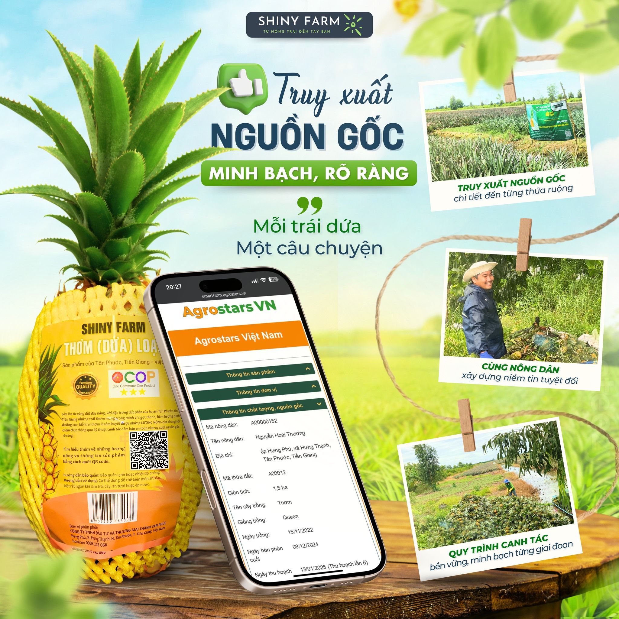 Thơm (Dứa) Shiny Farm. 