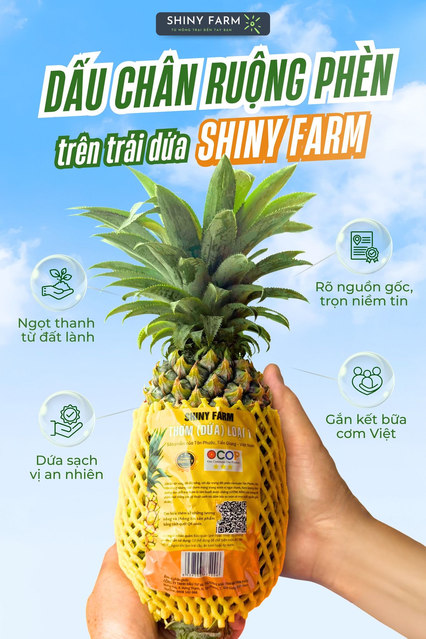  Thơm (Dứa) Shiny Farm. 