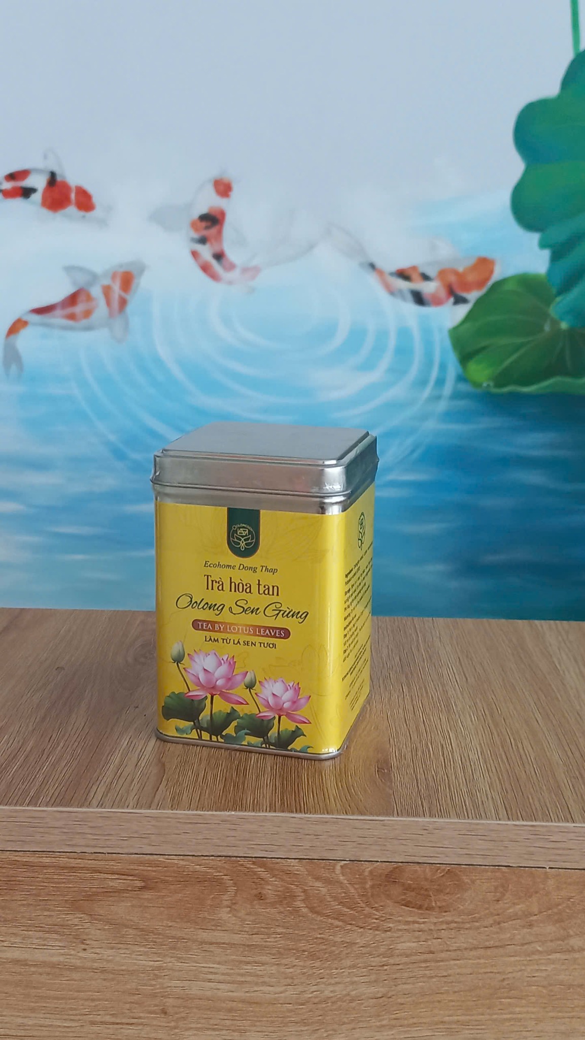 Trà hoà tan OolongSen gừng